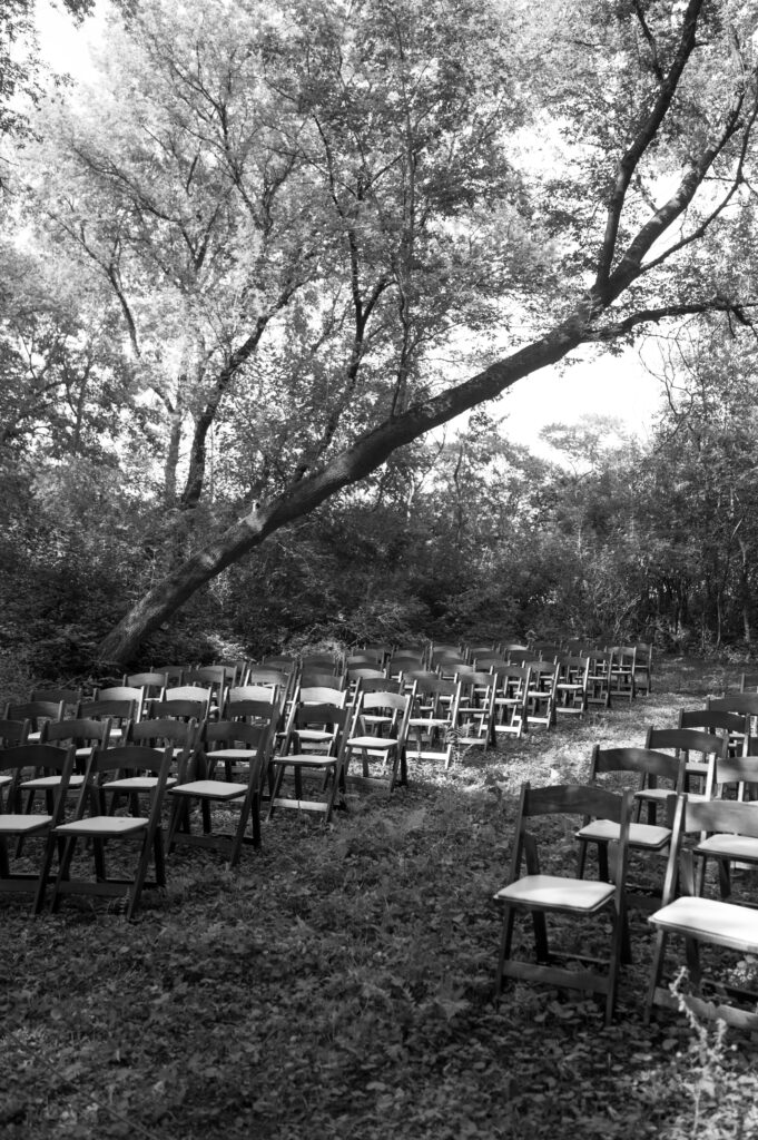 Backyard wedding ceremony seating in black and white